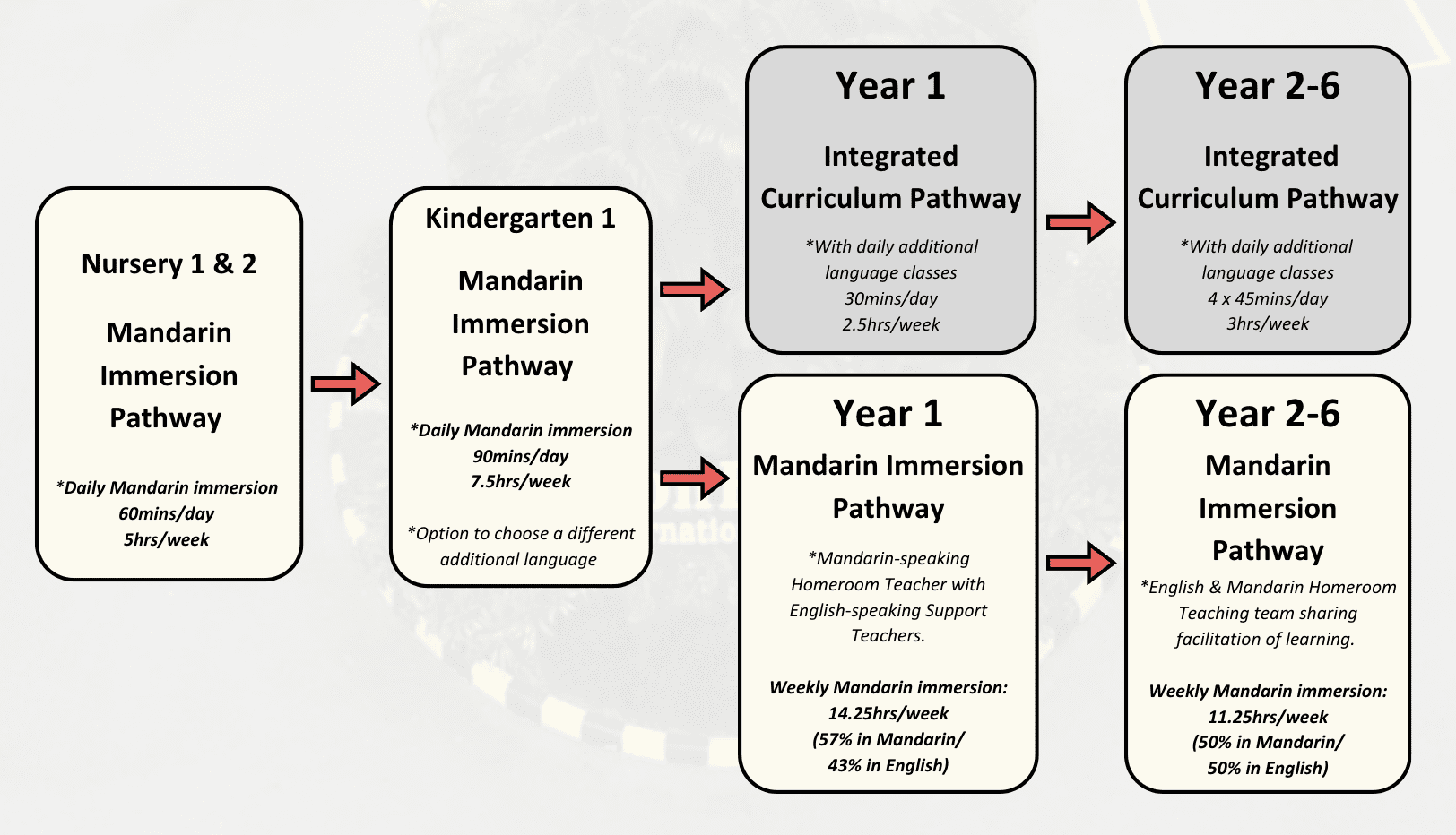 mandarin immersion pathway